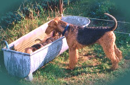 Sonni badet, Tarzan wartet. Sommer 2003