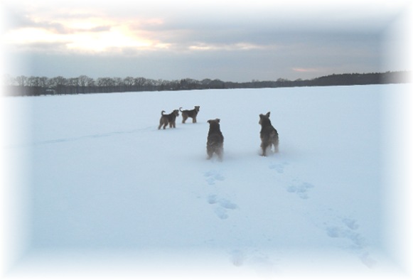 Spiele im Schnee