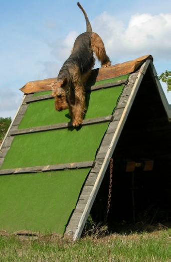 Klettersprung hin, dann mit Holz zurck