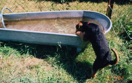 Tarzan an der Badewanne, zu hoch ?