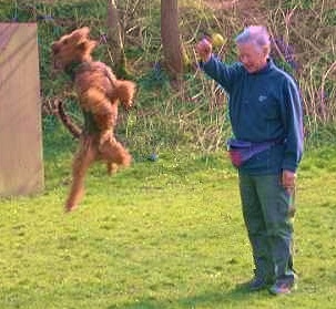 Ximo beim Spiel mit Herrchen Lothar